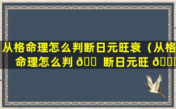 从格命理怎么判断日元旺衰（从格命理怎么判 🐠 断日元旺 💐 衰和衰弱）